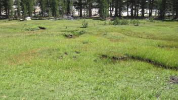 Upper Transect Left to Right Overview