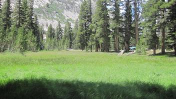 Upper Transect Left to Right Overview