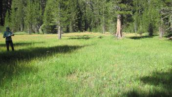 Upper Transect Left to Right Overview