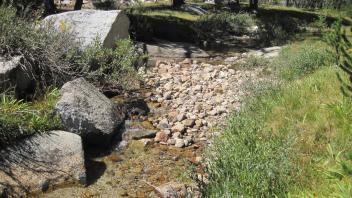 Upper Transect Left to Right Upstream