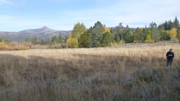 Upper Transect Overview (left to right)