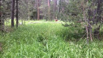 Upper Transect Overview (left to right)