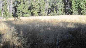 Upper Transect Overview (left to right)