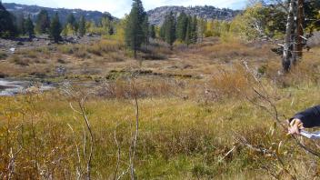 Upper Transect Overview (left to right)