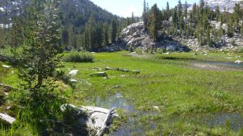 Upper Transect Overview (left to right)