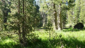 Upper Transect Overview (left to right)