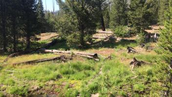 Upper Transect Overview (left to right)