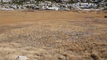Upper Transect Overview (left to right)