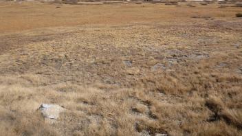 Upper Transect Overview (left to right)