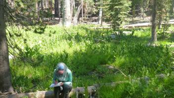 Upper Transect Overview (left to right)