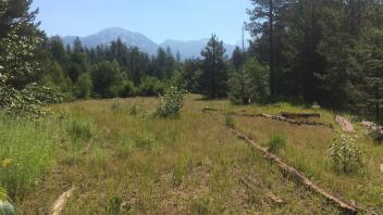 Upper Transect Overview (left to right)