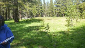 Upper Transect Overview (left to right)