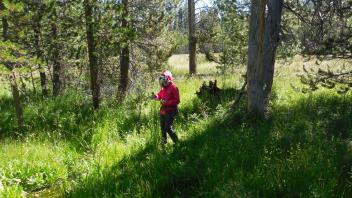 Upper Transect Overview (left to right)