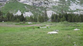 Upper Transect Overview (left to right)