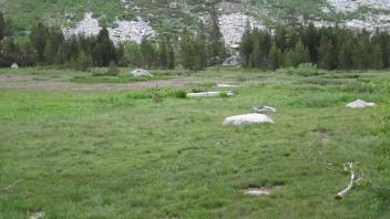 Upper Transect Overview (left to right)