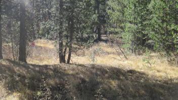 Upper Transect Overview (right to left)