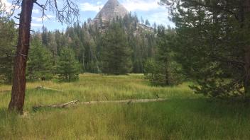 Upper Transect Overview (right to left)