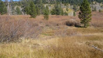 Upper Transect Overview (right to left)