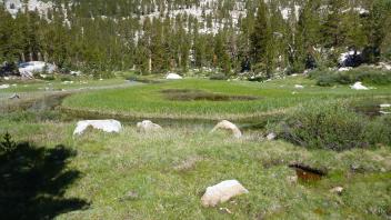 Upper Transect Overview (right to left)