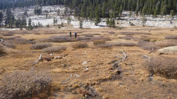 Upper Transect Overview (right to left)