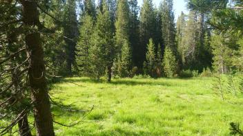 Upper Transect Overview (right to left)