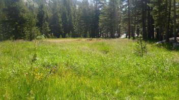 Upper Transect Overview (right to left)