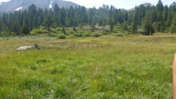 Upper Transect Overview (right to left)