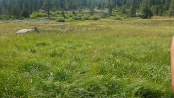 Upper Transect Overview (right to left)