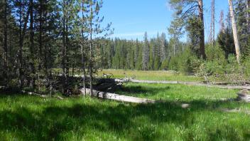 Upper Transect Overview (right to left)