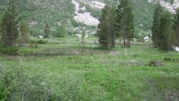 Upper Transect Overview (right to left)