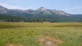 Upper Transect Overview (right to left)