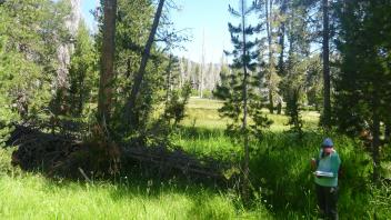 Upper Transect Overview (right to left)