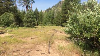 Upper Transect Overview (right to left)