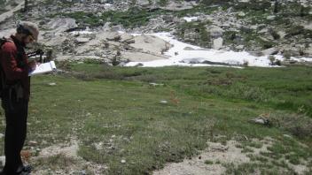 Upper Transect Overview (right to left)