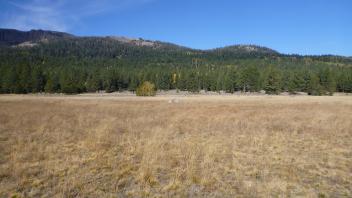 Upper Transect Overview (right to left)