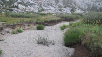 Upper Transect Right to Left Channel 2 Downstream