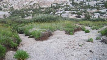 Upper Transect Right to Left Channel 2 Upstream