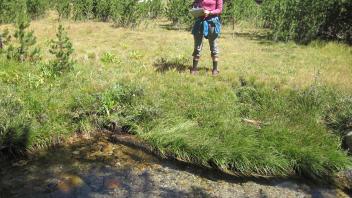 Upper Transect Right to Left Channel Across