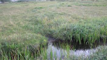 Upper Transect Right to Left Channel Across