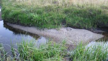 Upper Transect Right to Left Channel Across