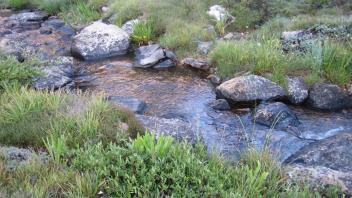 Upper Transect Right to Left Channel Across