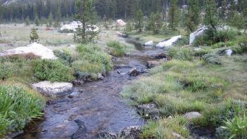 Upper Transect Right to Left Downstream
