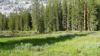 Upper Transect Right to Left Overview