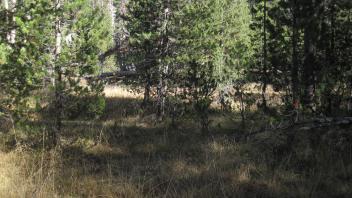 Upper Transect Right to Left Overview