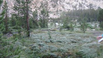 Upper Transect Right to Left Overview