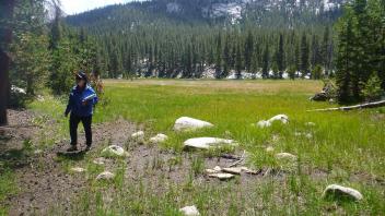 Upper Transect Right to Left Overview