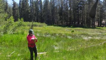 Upper Transect Right to Left Overview