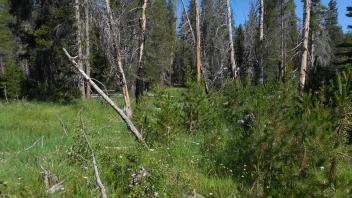 Upper Transect Right to Left Overview