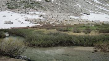 Upper Transect Right to Left Overview