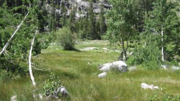 Upper Transect Right to Left Overview